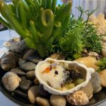 Restaurangen Pier´s tolkning av ostron... som var vansinnigt god Restaurangen Pier´s tolkning av ostron... som var vansinnigt god