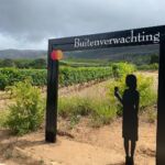 Jag åt en god lunch på Beyond Restaurant på Buitenverwachting i Constantia Jag åt en god lunch på Beyond Restaurant på Buitenverwachting i Constantia