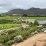 Hemel-En-Aarde och Creation Wines Hemel-En-Aarde och Creation Wines