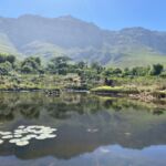 Ett besök i skulpturparken Dylan Lewis i Stellenbosch var mycket uppskattat Ett besök i skulpturparken Dylan Lewis i Stellenbosch var mycket uppskattat