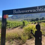 I Constantia besökte vi även Buitenverwachting för en fin provning I Constantia besökte vi även Buitenverwachting för en fin provning