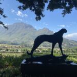 Vacker utsikt från terrassen på Delaire Graff i Stellenbosch Vacker utsikt från terrassen på Delaire Graff i Stellenbosch