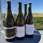 Trevliga vita, friska viner i sommarvärmen i Castilla-Léon Trevliga vita, friska viner i sommarvärmen i Castilla-Léon