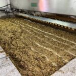 De klassiska gröna druvsorterna i mekaniska lagares för att senare bli en White Port De klassiska gröna druvsorterna i mekaniska lagares för att senare bli en White Port