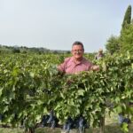 Nilsson ute på fältet bland Sangiovese-rankor hos Poliziano i Montepulciano Nilsson ute på fältet bland Sangiovese-rankor hos Poliziano i Montepulciano