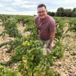 Reseledaren ute bland Galette-stenar i Chateauneuf-du-Pape Reseledaren ute bland Galette-stenar i Chateauneuf-du-Pape