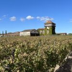 Familjen Cathiard äger det fina slottet Smith-Haut-Lafitte i Pessav-Léognan vars viner vi drack till lunchen på Sources de Caudalie Familjen Cathiard äger det fina slottet Smith-Haut-Lafitte i Pessav-Léognan vars viner vi drack till lunchen på Sources de Caudalie