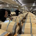 På Chateau Lynch-Bages var man i full gång med omdragning av vinet i faten, som är ett led i en skonsam filtrering På Chateau Lynch-Bages var man i full gång med omdragning av vinet i faten, som är ett led i en skonsam filtrering