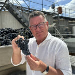 Toppenkvalitet på årets skörd av Merlot på Meerlust i Stellenbosch Toppenkvalitet på årets skörd av Merlot på Meerlust i Stellenbosch