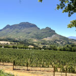 Vacker utsikt mot Simonsberg från terrassen på Delaire Graff i Stellenbosch Vacker utsikt mot Simonsberg från terrassen på Delaire Graff i Stellenbosch