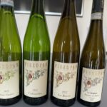 En mycket intressant provning som stegrade sig från Soave Classico, Calvarino, La Rocca till Recioto della Soave En mycket intressant provning som stegrade sig från Soave Classico, Calvarino, La Rocca till Recioto della Soave