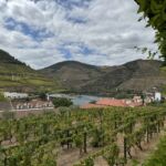 Vi hade en fin Vintage-provning på Dow´s Quinta Do Bomfim, där vi även avnjöt en god lunch i familjen Symington´s privata villa Vi hade en fin Vintage-provning på Dow´s Quinta Do Bomfim, där vi även avnjöt en god lunch i familjen Symington´s privata villa