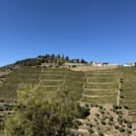 Fantastiska Quinta Do Crasto med odlingen Vinha Maria Teresa nedanför Fantastiska Quinta Do Crasto med odlingen Vinha Maria Teresa nedanför