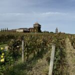 Till vår lunch drack vi både det vita som röda vinet från Grand Cru-slottet Smith Haut Lafitte i Pessac-Léognan Till vår lunch drack vi både det vita som röda vinet från Grand Cru-slottet Smith Haut Lafitte i Pessac-Léognan