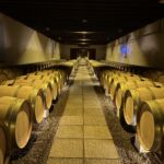 De botrytis-angripna druvorna får både jäsa och lagras på dessa 225 liters barrique-fat på Chateau Coutet De botrytis-angripna druvorna får både jäsa och lagras på dessa 225 liters barrique-fat på Chateau Coutet