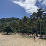 Fin strand på Iles des Saintes Fin strand på Iles des Saintes