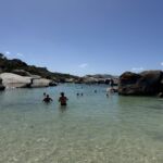 Vid Boulders Beach tog vi ett uppfriskande dopp i False Bay samtidigt som vi hälsade på pingvinerna Vid Boulders Beach tog vi ett uppfriskande dopp i False Bay samtidigt som vi hälsade på pingvinerna
