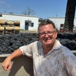 Nyskördade Merlot druvor på Meerlust i Stellenbosch Nyskördade Merlot druvor på Meerlust i Stellenbosch
