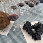 The Mackenzie på Hartenberg och lite nyplockade Cabernet Sauvignon druvor The Mackenzie på Hartenberg och lite nyplockade Cabernet Sauvignon druvor