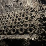 De historiska källarna hos Louis Latour i Aloxe-Corton besöktes också under vår resa De historiska källarna hos Louis Latour i Aloxe-Corton besöktes också under vår resa