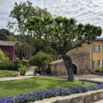 På lördagen gjorde vi en utflykt upp till vingården Chateau d´Esclans i Cotes-de-Provence På lördagen gjorde vi en utflykt upp till vingården Chateau d´Esclans i Cotes-de-Provence