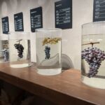 Genomgång av de tillåtna druvsorterna i Valpolicella: Corvina, Rondinella, Molinara, Corvinone etc... Genomgång av de tillåtna druvsorterna i Valpolicella: Corvina, Rondinella, Molinara, Corvinone etc...