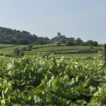Vackra Soave Vackra Soave