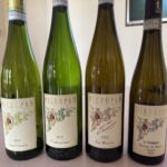 En trevlig laguppställning hos Pieropan i Soave En trevlig laguppställning hos Pieropan i Soave