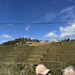 Vinfältet Vinha Maria Theresa på Quinta Do Crasto med 140 år gamla vinrankor i en "fields blend" Vinfältet Vinha Maria Theresa på Quinta Do Crasto med 140 år gamla vinrankor i en "fields blend"