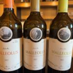 På Emilio Moro hade jag satt upp denna eminenta provning av husets bästa viner. En perfekt avslutning på fyra dagar i Ribera del Duero På Emilio Moro hade jag satt upp denna eminenta provning av husets bästa viner. En perfekt avslutning på fyra dagar i Ribera del Duero