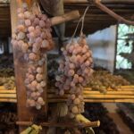 På Avignonesi producerar man även en klassisk Vin Santo på druvorna Malvazia och Trebbiano På Avignonesi producerar man även en klassisk Vin Santo på druvorna Malvazia och Trebbiano