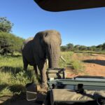 Tshukudu Game Reserve Tshukudu Game Reserve