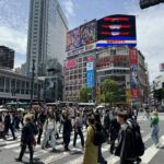 Shibuya crossing kan som värst korsas av 5000 personer samtidigt Shibuya crossing kan som värst korsas av 5000 personer samtidigt