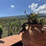Vi besökte vingården Palmento Costanzo med DOC Etna på Sicilien Vi besökte vingården Palmento Costanzo med DOC Etna på Sicilien